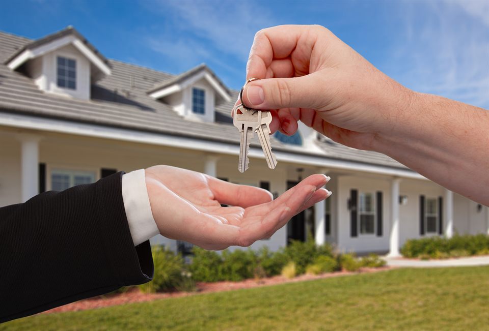 Property development